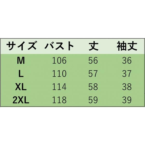 レディース ブラウス シフォン ラウンドネック 無地 シンプル シャツ 春 夏 トップス カジュアル キュート 可愛い フェミニン きれいめ 上品 エレガント おしゃれ お出かけ オフィス デート デイリー ホワイト ライトブルー グレー 送料無料
