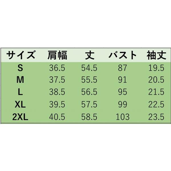 レディース トップス シフォン カットソー クルーネック 半袖 無地 夏 カジュアル 大人可愛い フェミニン オフィス お出かけ デート デイリー ブルー ホワイト レッド S M L XL 2XL 送料無料