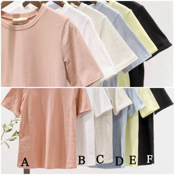 レディース 半袖Tシャツ シンプル クルーネック 無地 カットソー 夏 春 トップス カジュアル キュート 大人 可愛い フェミニン おしゃれ お出かけ 普段着 デイリー ピンク ホワイト ブラック ブルー イエロー フリーサイズ ワンサイズ 送料無料