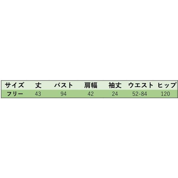 レディース 2点セット シフォン Vネック 五分袖 ボトムス カジュアル キュート 可愛い フェミニン きれいめ 上品 エレガント おしゃれ お出かけ デイリー 普段着 ホワイト イエロー フリーサイズ ワンサイズ 送料無料