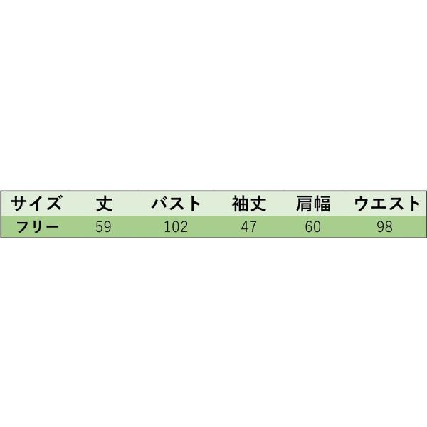 レディース ロングTシャツ シンプル Vネック 無地 カットソー 夏 春 トップス カジュアル キュート 大人 可愛い フェミニン おしゃれ お出かけ 普段着 デイリー グリーン イエロー ホワイト ブラウン フリーサイズ ワンサイズ 送料無料