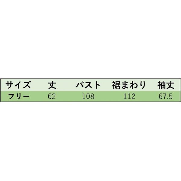 レディース ブラウス 長袖 シャツ シンプル 透け感 透け素材 無地 春 夏 トップス カジュアル キュート 可愛い フェミニン きれいめ 上品 エレガント おしゃれ お出かけ オフィス デート ホワイト ブラウン ベージュ フリーサイズ 送料無料