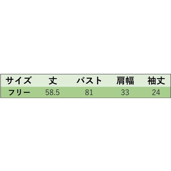レディース ニット カットソー 無地 シンプル スリム 半袖 トップス カジュアル キュート 大人 可愛い フェミニン おしゃれ お出かけ オフィス デイリー 普段着 ベージュ ブラウン ホワイト フリーサイズ ワンサイズ 送料無料