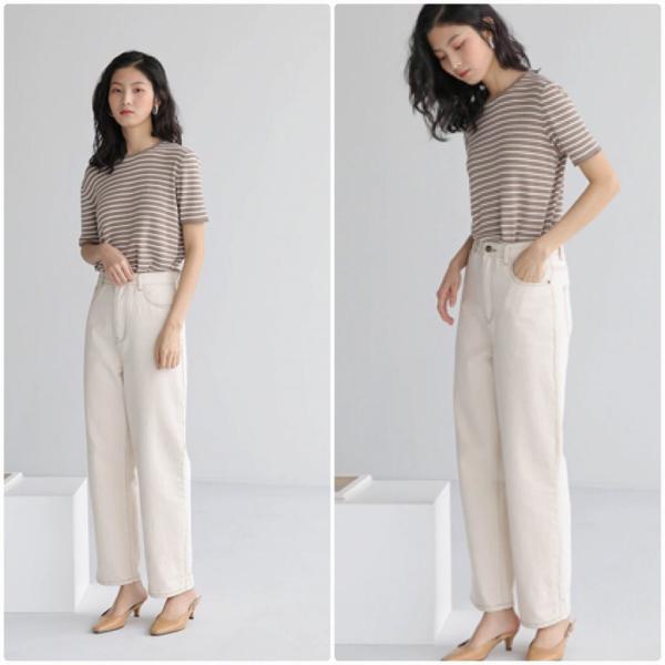 レディース ニット カットソー 薄手 ボーダー シンプル 半袖 トップス カジュアル キュート 大人 可愛い フェミニン おしゃれ お出かけ オフィス デイリー 普段着 ブラック ブラウン ホワイト フリーサイズ ワンサイズ 送料無料