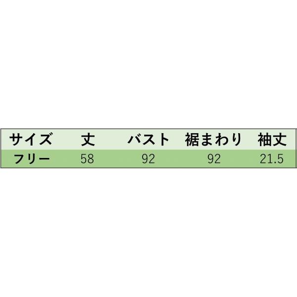 レディース ニット カットソー 薄手 ボーダー シンプル 半袖 トップス カジュアル キュート 大人 可愛い フェミニン おしゃれ お出かけ オフィス デイリー 普段着 ブラック ブラウン ホワイト フリーサイズ ワンサイズ 送料無料
