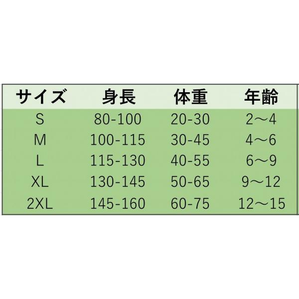 キッズ　ジュニア　男の子　子供　水着　半袖Tシャツ&ショートパンツ　日焼け防止　恐竜柄　カジュアル　かわいい　キュート　海　プール　スイミング　スクール　ビーチ　リゾート　マリン　海水浴　ブルー　S　M　L　XL　2XL　送料無料