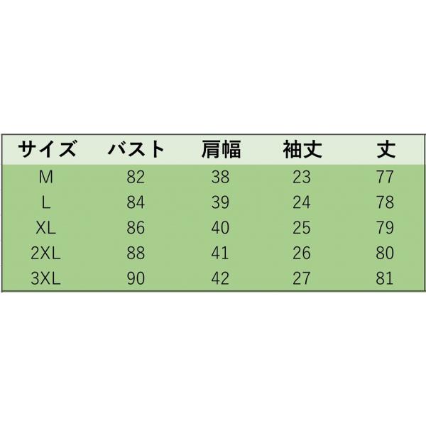 レディース　大きいサイズ　ボリュームスリーブ　フレアスリーブ　ボーダー　ミニ丈　スカート　トップス　カジュアル　キュート　大人　可愛い　フェミニン　おしゃれ　お出かけ　デイリー　普段着　ブラック×ホワイト　M　L　XL　2XL　3XL　送料無料