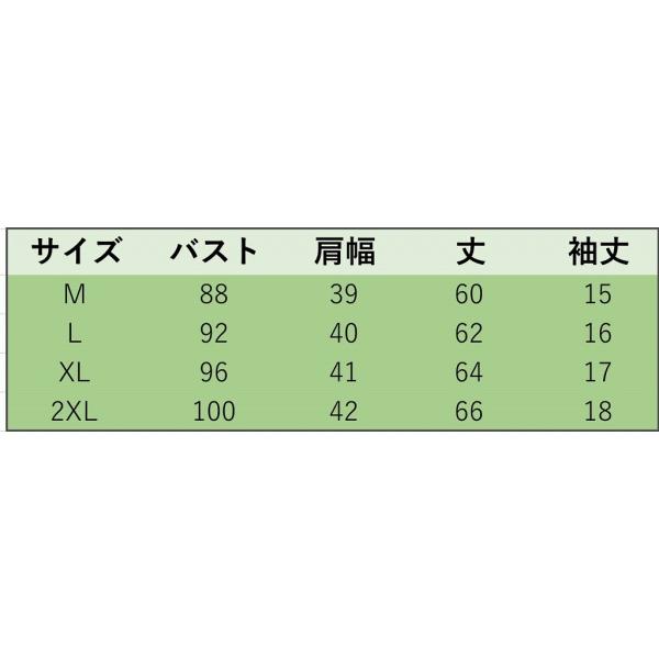 レディース　大きいサイズ　薔薇　Tシャツ　半袖　ショートスリーブ　夏　春　トップス　カジュアル　キュート　大人　可愛い　フェミニン　おしゃれ　お出かけ　普段着　デイリー　ブラック　ホワイト　M　L　XL　2XL　送料無料