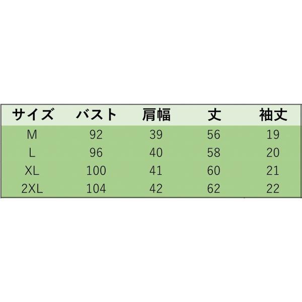 レディース　大きいサイズ　ボーダー　Tシャツ　プリント　半袖　ショートスリーブ　夏　春　トップス　カジュアル　キュート　大人　可愛い　フェミニン　おしゃれ　お出かけ　普段着　デイリー　ブルー　ブラック　ピンク　M　L　XL　2XL　送料無料