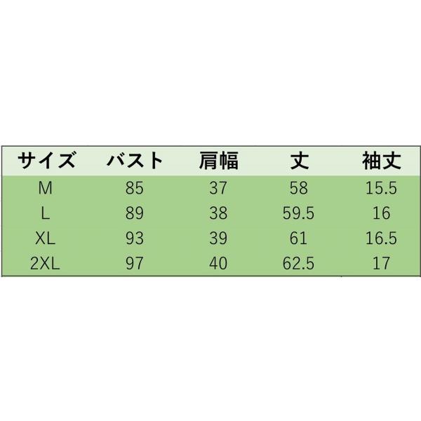 レディース　大きいサイズ　Tシャツ　無地　半袖　ショートスリーブ　夏　春　クルーネック　トップス　カジュアル　大人　可愛い　おしゃれ　お出かけ　普段着　デイリー　ホワイト　ブラック　ピンク　グレー　ブルー　イエロー　ブラウン　レッド　送料無料