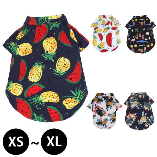  AnVc hbOEFA 傫TCY Vc pCibv {^jJ  OJ gbvX ybgpi hbO ėp lR|X