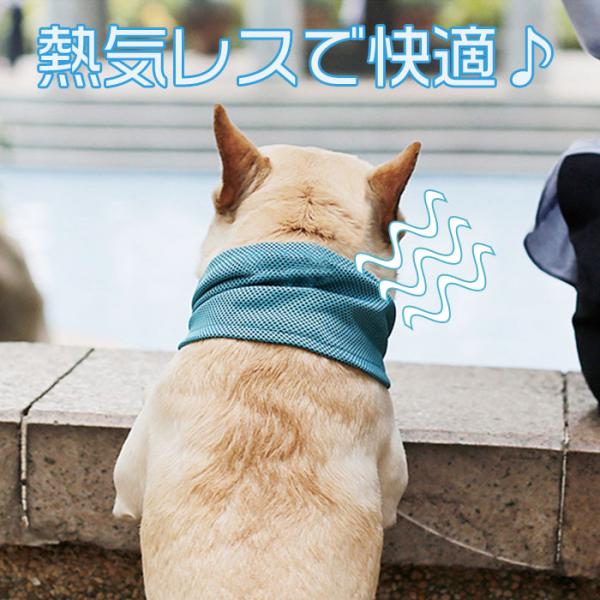 ドッグ 冷感 冷却タオル 犬用 小型犬 中型犬 クールタオル 散歩用 冷感 ひんやり 熱中症対策グッズ ネコポス送料無料 Buyee Buyee Japanese Proxy Service Buy From Japan Bot Online