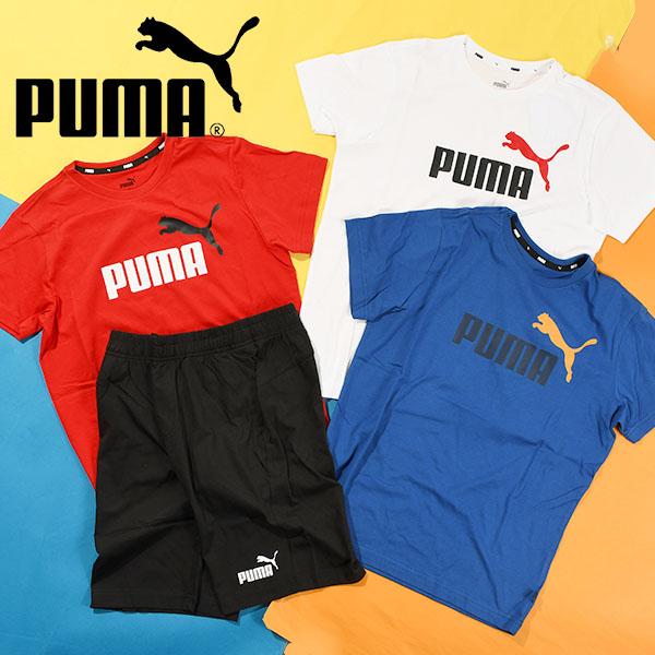 PUMA TシャツとショートパンツセットL