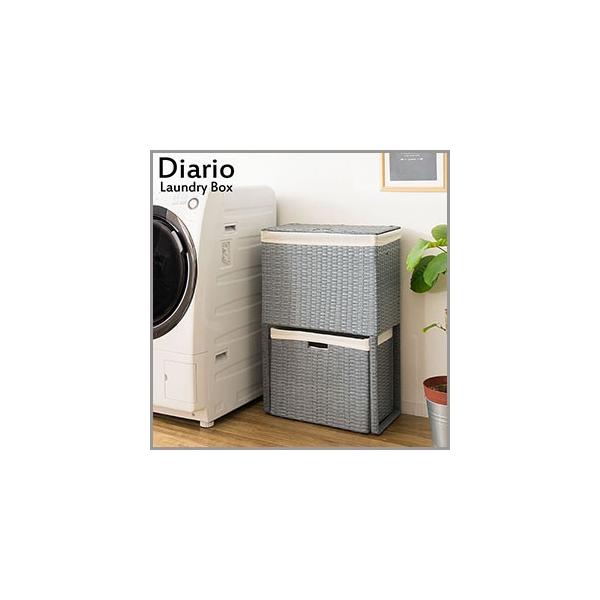 Diario (fBAI) h[{bNX 2i u[ RB-500-BL