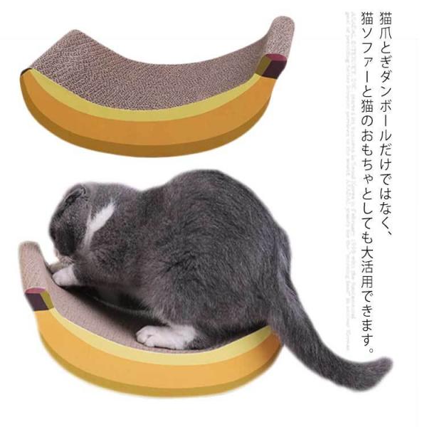 LXNb`[LXNb`pbhi{[LXNb`{[hoii`LXNb`xbhybgpiLqL