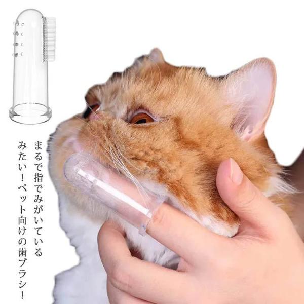 wTbNuV ݂ L  puV  LpuV wuV ^ ^ ^ ybgp uV Ԃ炵  lR