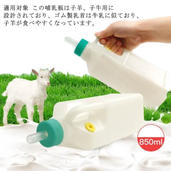 哺乳瓶 乳首 - ペットの人気商品・通販・価格比較 - 価格.com 哺乳瓶 乳首 - ペットの人気商品・通販・価格比較 - 価格.com