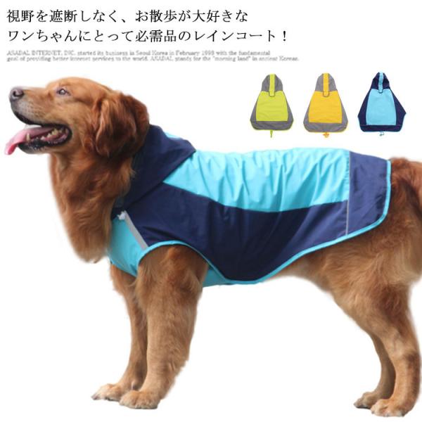 J |` ^ CR[g ^ hbO  CEFA Č Jbp  2{   Hc O[ S[fg