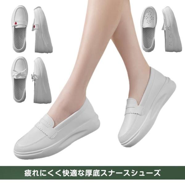 yzi[XV[Y Ȃ  pvX  Ōt  fB[X  킢   ƌC wlC ʋC ΍ r