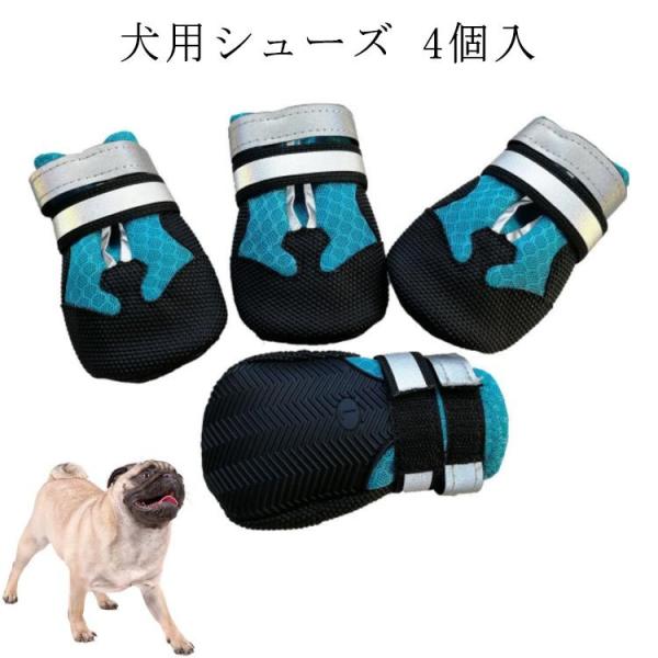  C C ̌C hbOV[Y V[Y n[h h X|[c    PA ^ ^ ی 