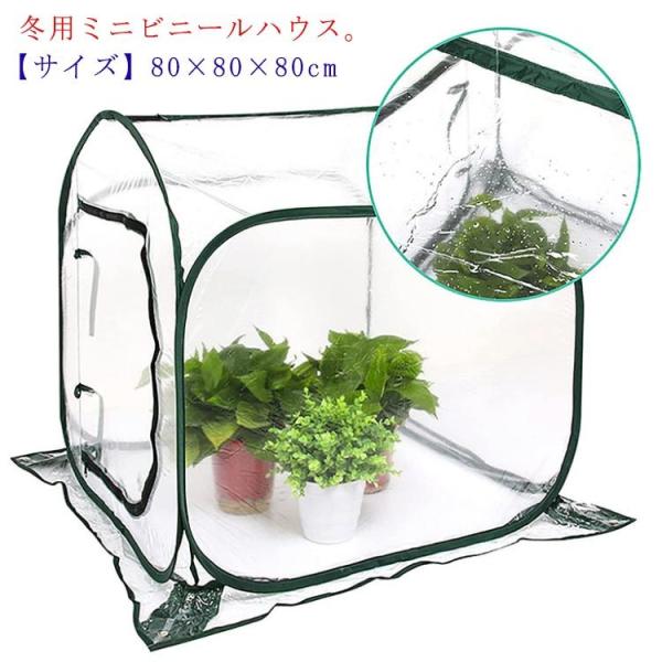 rj[nEX  K[fnEX ~j ~jK[f ؉ | ƒ؉ Jo[ z[ h J悯 悯 h Aی ~j