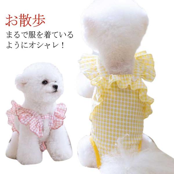 中/小型犬用オムツカバー 犬用生理パンツ サニタリーパンツ マナーウェア 犬服 送料無料 フリル ペットグッズ ペット用品 しつけ マーキング防止 ト