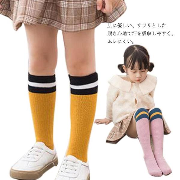 C q LbY I[o[j[ j[nC\bNX nC\bNX 3{C j̎q ̎q xr[ t H  bV  Vv `A