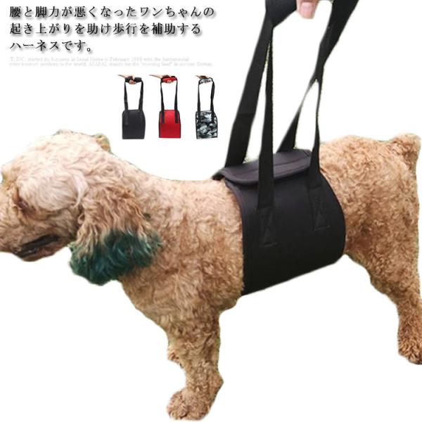  pn[lX s⏕n[lX ̗p nr EȒP ̎キȂ ^ ^ ^p V hbOn[lX sT|[g 