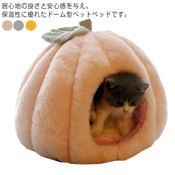 L xbh ^ ybgxbh J{`^ nEX MTCY LnEX h[^ 킢 _炩 g ӂӂ  ~ NbV