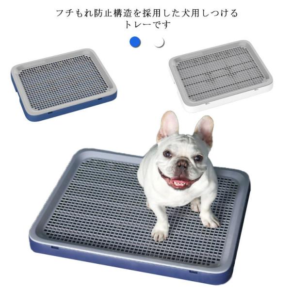  gC g[ t`ꂵɂ gC  Ck  bVt ȒP  ې􂢉\ Vv  g[j