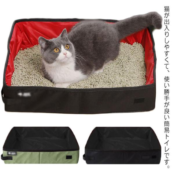 LgC ܂肽 h LTCY y ȈՃgC ^ѕ֗ s hCu o h AEghA RpNg H ?Lpi