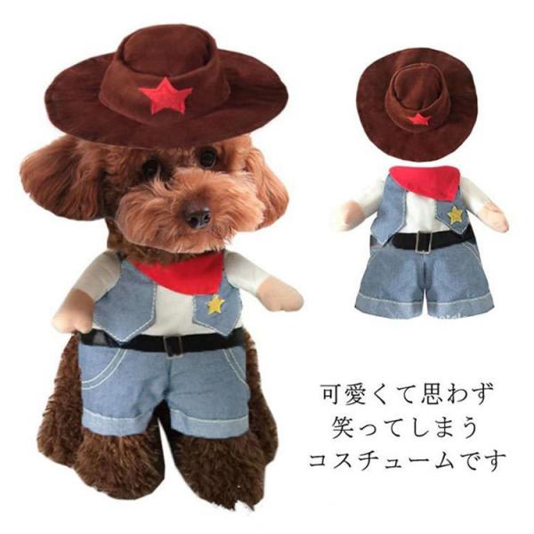 RX`[  RXv  EGX^ 2_Zbg nbgt JE{[C  2s ybg ϐg ^ ObY ߑ  oGeB