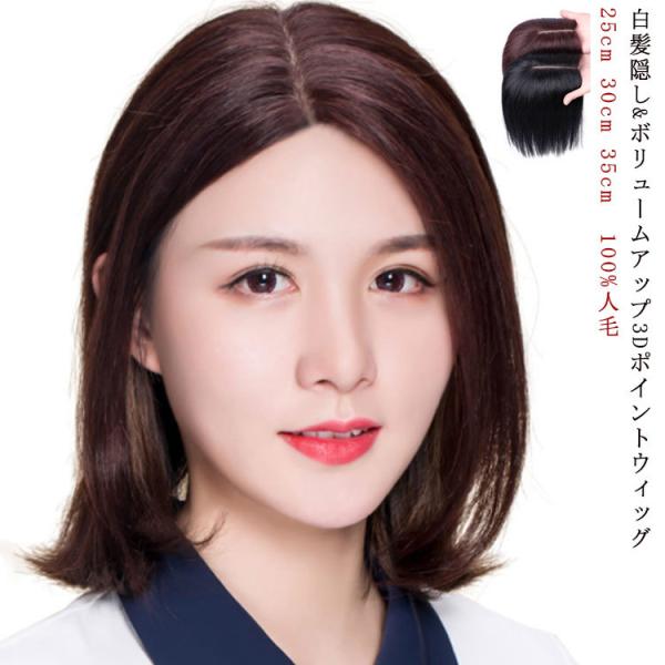 yl100% 25cm 30cm 35cmzEBbO O Xg[g |j[e[ gbvJo[ ×pEBbO A V[g EBbO 