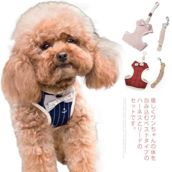  ^ ^ p Lp n[lX[hZbg  U o {t  킢 pi ybgObY ` v[h