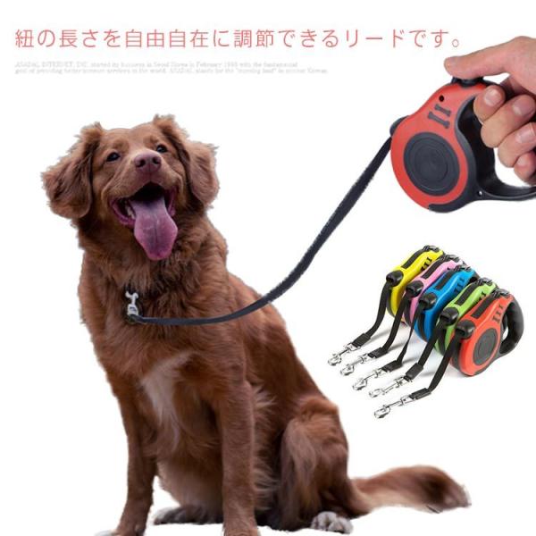 [h ^ ^ L p 5m Lk[h e[v^Cv R[h^Cv  O[h Lт郊[h  U RpNg y