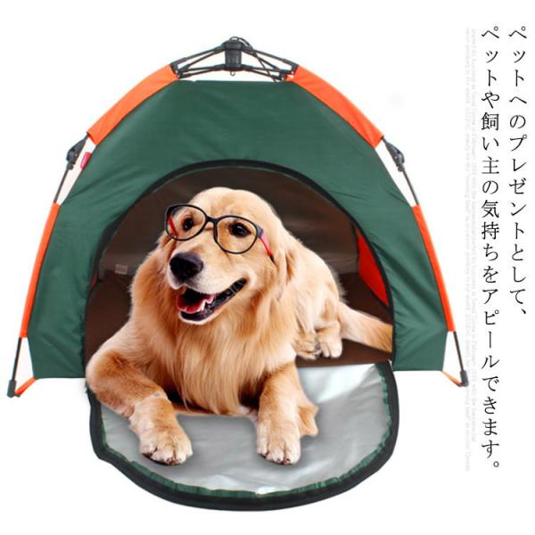 ybg eg ̃eg nEX eBs[eg ybg̑  ybgeg  ybg̑ ybgnEX ybglXg ybgpeg