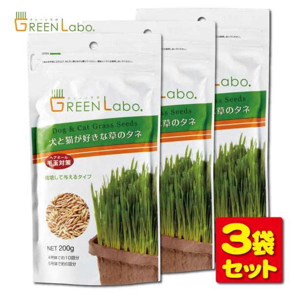 【3】GreenLabo 犬と猫が好きな草のタネ エイムクリエイツ　200ｇ
