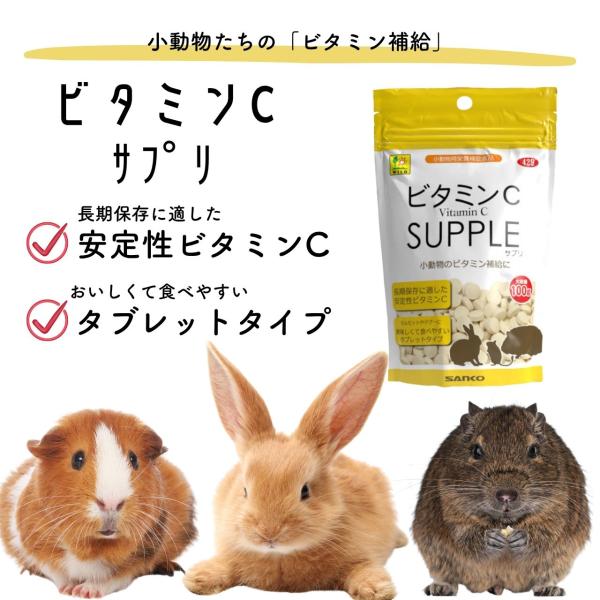 チルド便配送料込み　ASVC38活性保持型ビタミンC 1個 三晃商会 【日本製 小動物用栄養補助食品】安定性ビタミンC 100g