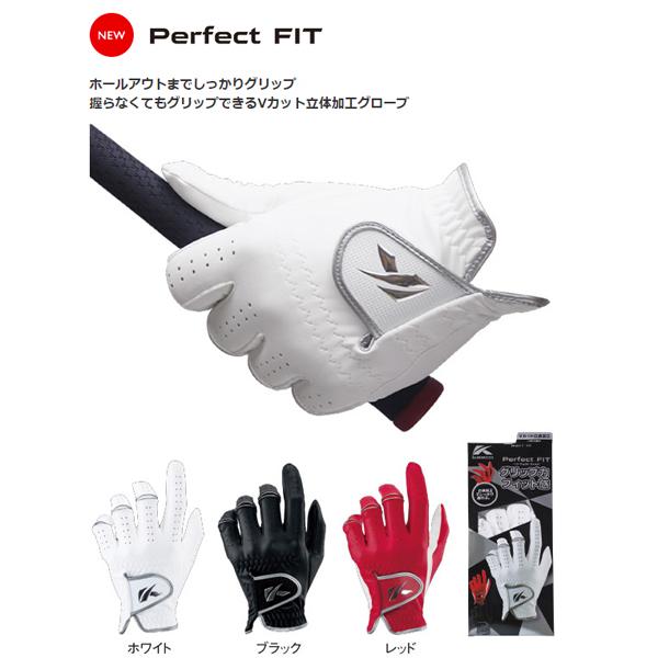 LXR St O[u p[tFNgtBbg SV VJbg̉H v Y jp p {Ki