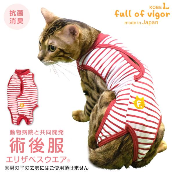 エリザベスカラーはもういらない 犬猫の手術後の安心術後服 ギガランキングｊｐ
