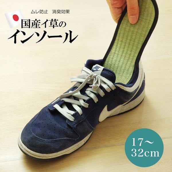 靴 中敷き 子供 みんな探してる人気モノ 靴 中敷き 子供 靴