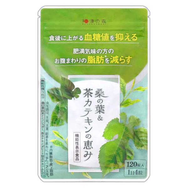 他サイト： 桑の葉＆茶カテキンの恵み 38.4g ( 320mg × 120粒 ) 和漢 和漢の森 サプリメント メール便送料無料SPL / 桑の葉茶カテキンS07-02 / KWCHCA-01Pの商品画像