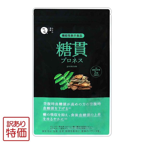 訳あり特価商品 糖貫プロネス 15g 250mg × 60粒 30日分 みなわ発酵 サプリメント 血糖値 空腹時血糖値 食後血糖値 機能性表示食品 糖貫プロネスW00-02TKPRNS-01P