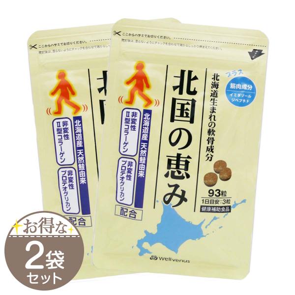 2袋セット 北国の恵み 1ヶ月分 93粒 ウェルヴィーナス プロテオグリカン 2型グルコサミン 膝 関節 モンドセレクション最高金賞受賞 北国の恵み93S01-02 KGMG93-02P