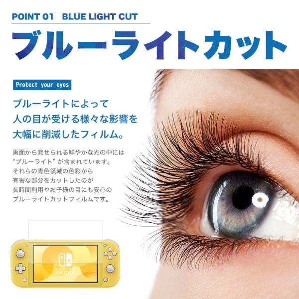 Nintendo Switch Lite フィルム 9h ニンテンドースイッチ ライト 保護フィルム 任天堂 反射防止 ブルーライト Sale Off 強化保護 極薄 ガラスフィルム 飛散防止 気泡なし