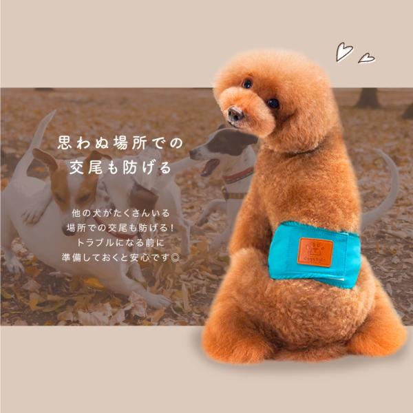 Yahoo Product Detail