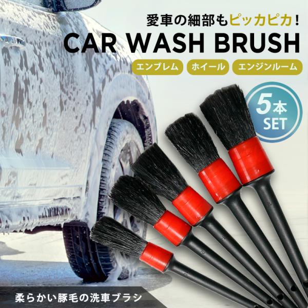 ԃuV {fB ؖс@fBeB[uV@p@@Gu@zC[@GW[@GAR@V[g