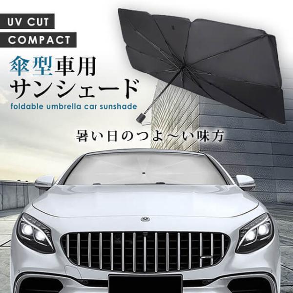 TVF[h  P tg KX P^ Ռ ՔM 悯 p\ ܂肽 [֗ ܂ݎ OJbg