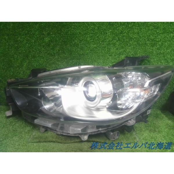 elv-ershopping_240301000610900