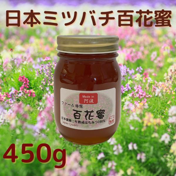 日本ミツバチ 450g 国産 純粋 はちみつ 幻の蜂蜜 百花蜜 非加熱 無添加